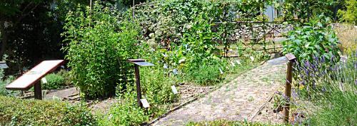 Giardino Botanico Della Majella