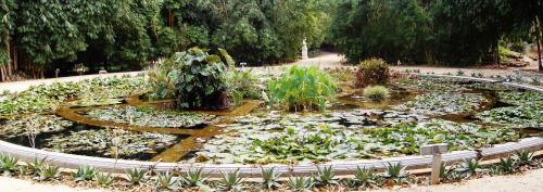Orto Botanico Di Palermo