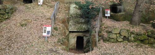 Necropoli Di Pianezze